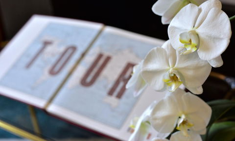 Lotus Gogh Apartment - Accommodation in Surfers Paradise 6