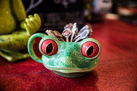 The Pickled Frog - Accommodation in Surfers Paradise 13
