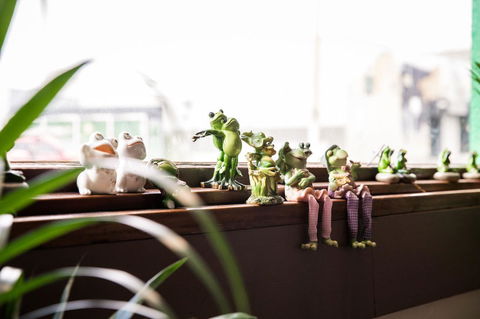 The Pickled Frog - Accommodation in Surfers Paradise 12