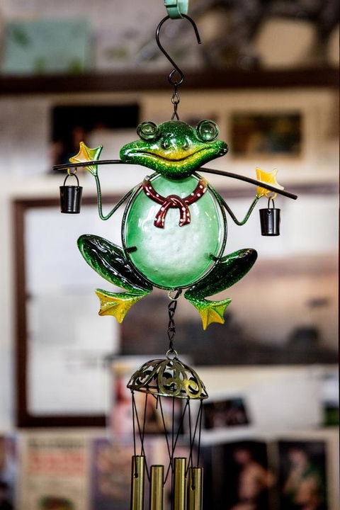 The Pickled Frog - Accommodation in Surfers Paradise 35