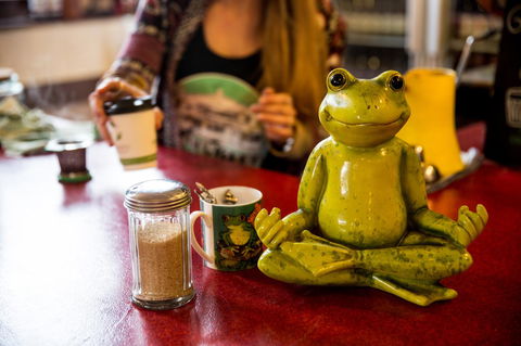 The Pickled Frog - Accommodation in Surfers Paradise 32