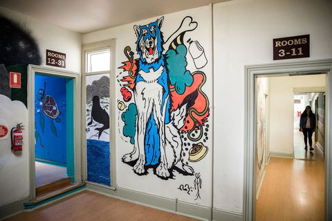 The Pickled Frog - Accommodation in Surfers Paradise 9