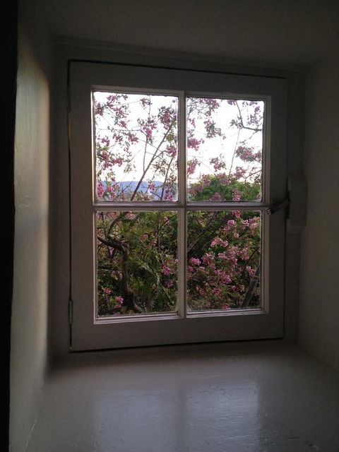 Blue Magnolia - Accommodation in Surfers Paradise 36