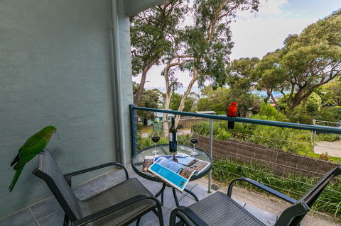 Lorne Surf Apartments - Accommodation in Surfers Paradise 21