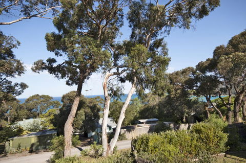 Lorne Surf Apartments - Accommodation in Surfers Paradise 11