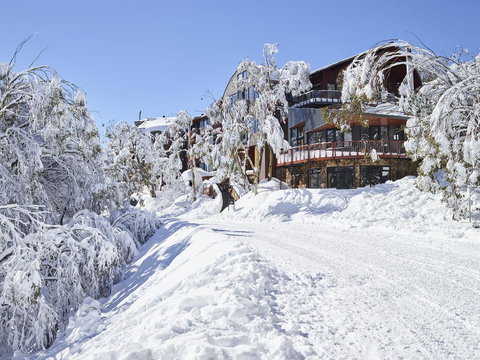 Astra Falls Creek - Accommodation in Surfers Paradise 3