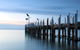 Bay Motel Safety Beach - thumb 16