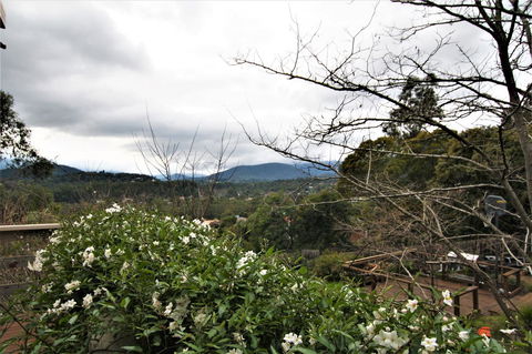 Hamptons In Healesville - Accommodation in Surfers Paradise 13