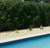 Robinvale Bridge Motel - Accommodation in Surfers Paradise