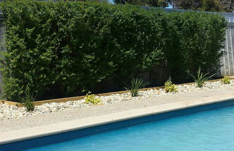 Robinvale Bridge Motel - Accommodation in Surfers Paradise 0