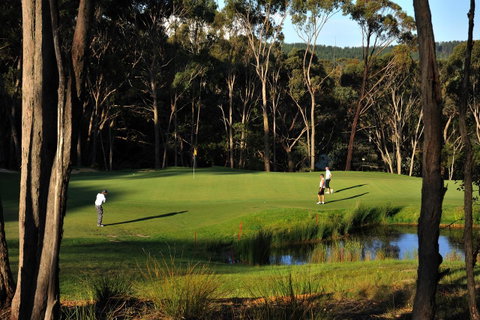RACV Goldfields Resort - Accommodation in Surfers Paradise 12