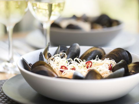 Gipsy Point Lodge & Cottages - Accommodation in Surfers Paradise 12