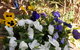 The Hideaway Luxury B&B Retreat - thumb 1