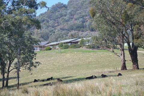 The Homestead At Holmeslgen At Eildon - Accommodation in Surfers Paradise 1