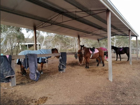The Saddle Camp Tiny House, Braidwood - Accommodation in Surfers Paradise 1