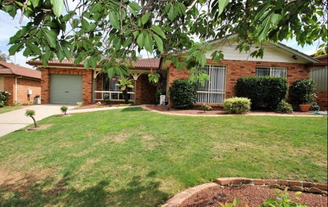 Tidy Home In A Leafy Suburb, Great Location - Accommodation in Surfers Paradise 0