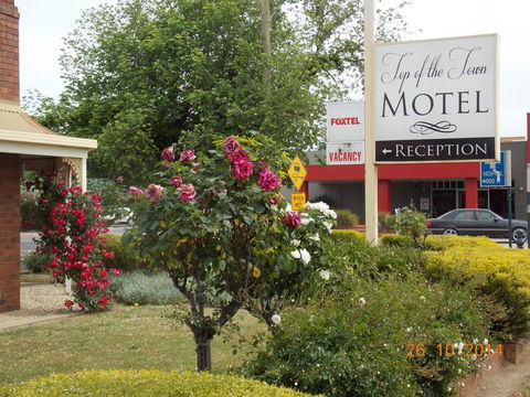 Top Of The Town Motel - Accommodation in Surfers Paradise 3