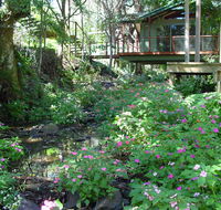 Treetops Montville - Accommodation in Surfers Paradise