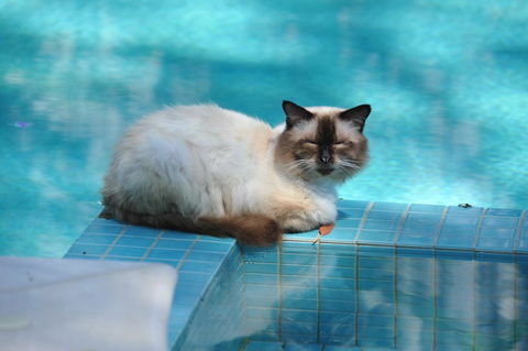 Villa Nirvana - Accommodation in Surfers Paradise 3