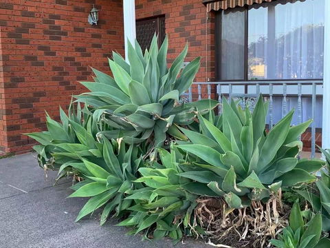 Vintage House In Bentleigh East - Accommodation in Surfers Paradise 1