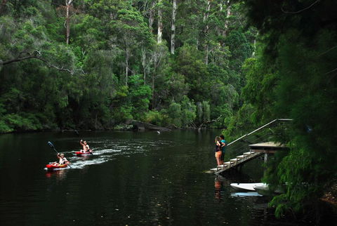 WA Wilderness Glamping - Accommodation in Surfers Paradise 2