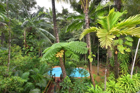 Wait A While Daintree - Accommodation in Surfers Paradise 3