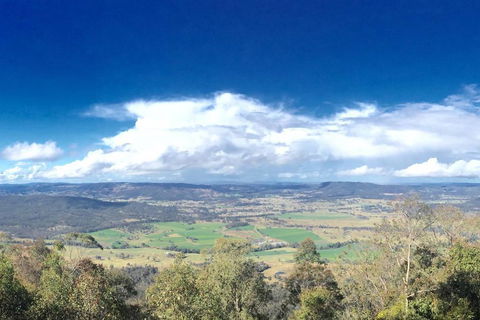 Wanjii II Pool & Spa Getaway - Accommodation in Surfers Paradise 2