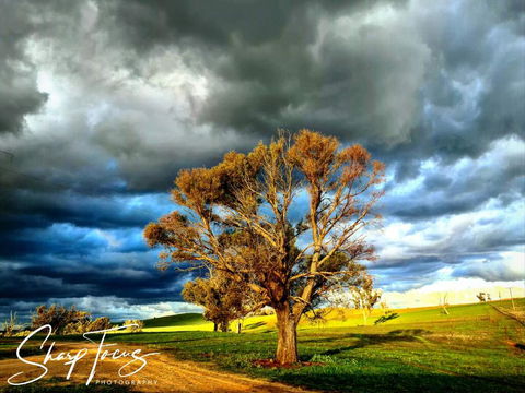 Wantana Cottage Farmstay - Accommodation in Surfers Paradise 2