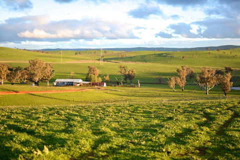 Wantana Cottage Farmstay - Accommodation in Surfers Paradise 0