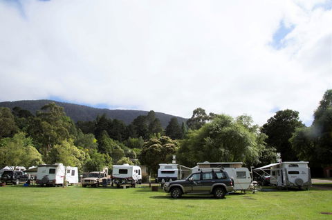Warburton Holiday Park - Accommodation in Surfers Paradise 0