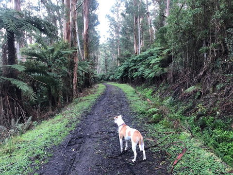 Warby Weekender - Accommodation in Surfers Paradise 3