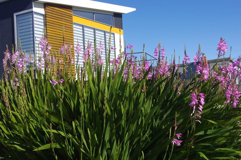 Watercolours - Accommodation in Surfers Paradise 1