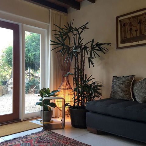Be&be Castlemaine - Accommodation in Surfers Paradise 1
