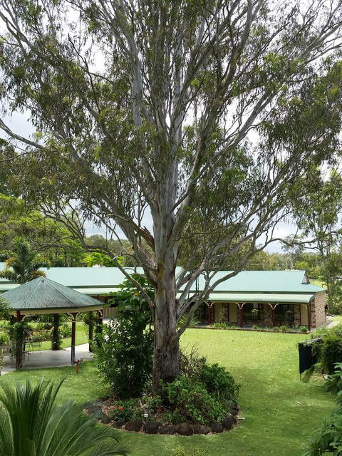 The Bearded Dragon Boutique Hotel - Accommodation in Surfers Paradise 32