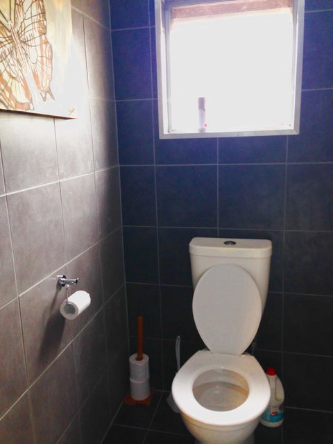 XYL Pets Friendly Seaside Boutique Guesthouse - Accommodation in Surfers Paradise 5