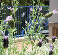 Surfers Beach Resort One - Accommodation in Surfers Paradise