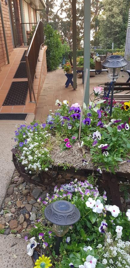 Manitzky Magic -B&B Home With Heart - Accommodation in Surfers Paradise 8