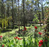Werekataba - Accommodation in Surfers Paradise