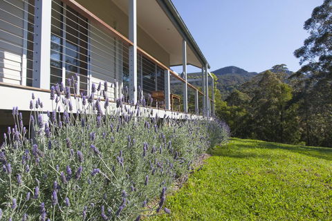 Wilderberry Cottage - Accommodation in Surfers Paradise 3