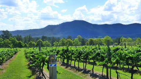 Winmark Wines - Accommodation in Surfers Paradise 1