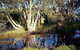 Wisteria Cottage On The Lagoon/Beach - thumb 2