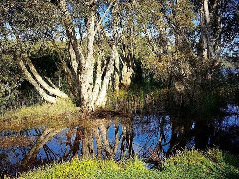 Wisteria Cottage On The Lagoon/Beach - Accommodation in Surfers Paradise 2
