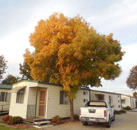 Wodonga Caravan  Cabin Park - Accommodation in Surfers Paradise