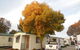 Wodonga Caravan & Cabin Park - thumb 0