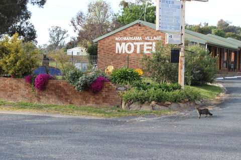 Woomargama Motel - Accommodation in Surfers Paradise 3