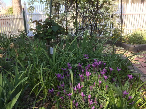 Yapera On Lucan - Accommodation in Surfers Paradise 2