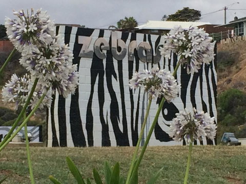 Zebras Guest House Geraldton - Accommodation in Surfers Paradise 0