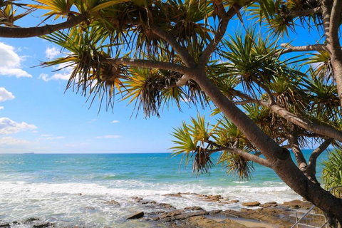 Alex Heads Beachfront Resort 2 Bedroom Apartment - Accommodation in Surfers Paradise 3