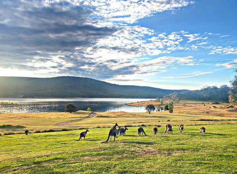 Anglers Reach Lakeside Village - Accommodation in Surfers Paradise 0