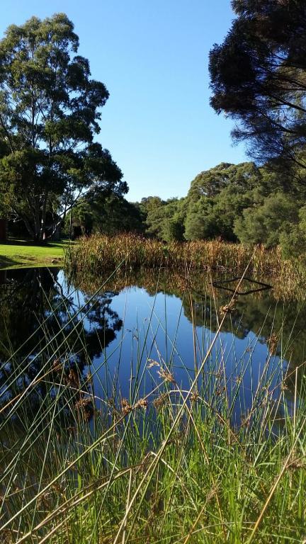 Crystal Springs Holiday Accommodation - Accommodation in Surfers Paradise 0